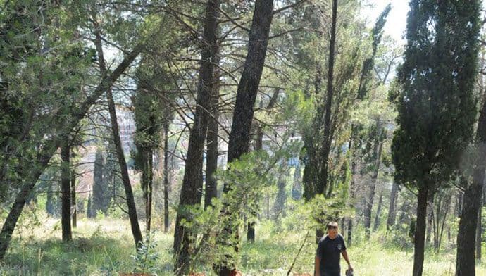 Sjutra uređenje Gorice Sjutra uređenje Gorice