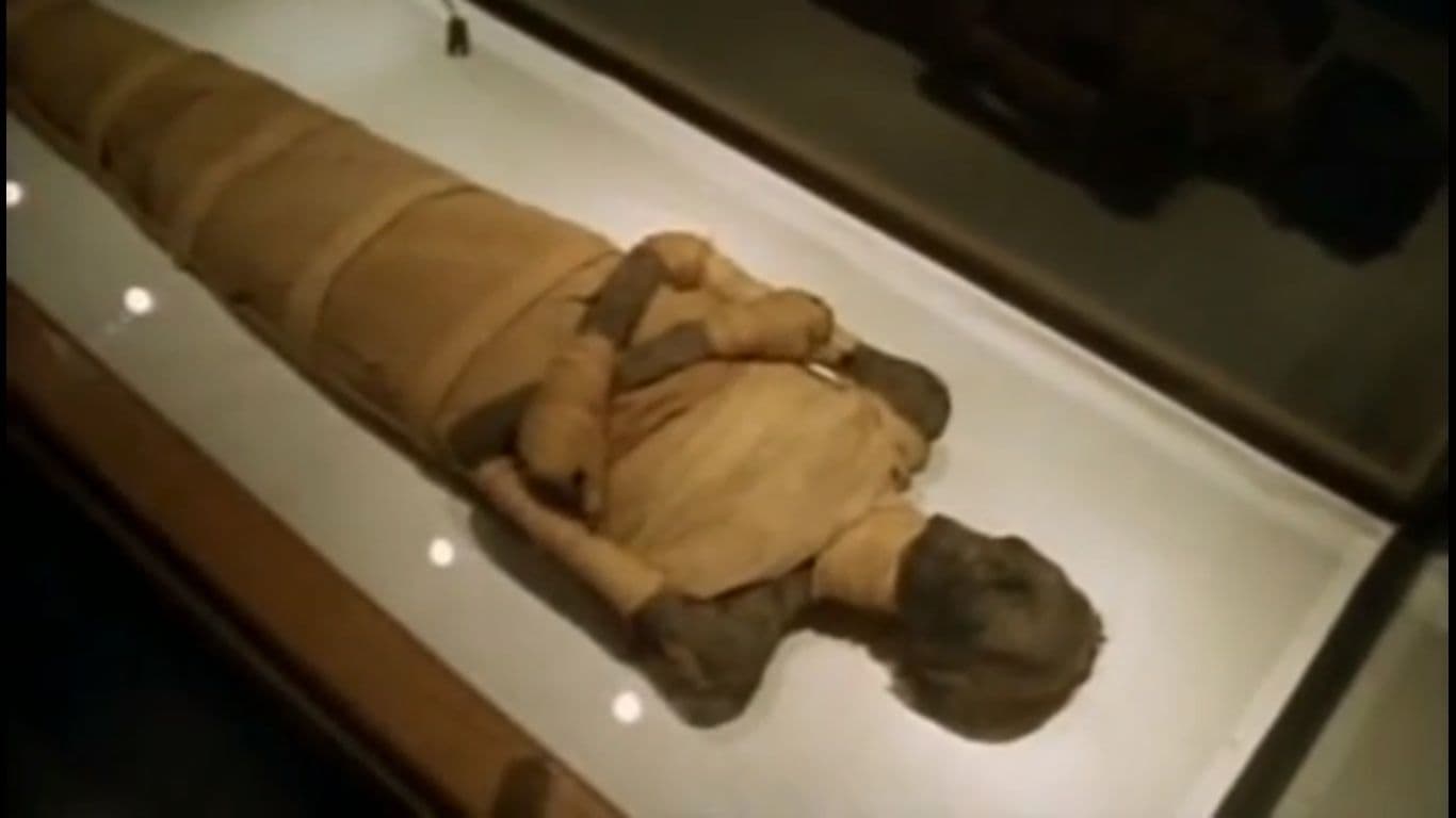 SENZACIONALNO OTKRIĆE Otkrivena egipatska grobnica sa milion mumija SENZACIONALNO OTKRIĆE Otkrivena egipatska grobnica sa milion mumija