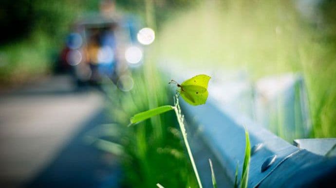 Sjutra sunčano, do 16 stepeni Sjutra sunčano, do 16 stepeni