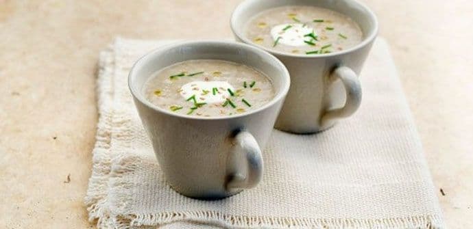 Tri biljna izvora gvožđa Tri biljna izvora gvožđa