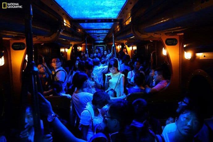 Ovo je fotografije godine čitalaca „Nacionalne geografije“ Ovo je fotografije godine čitalaca „Nacionalne geografije“