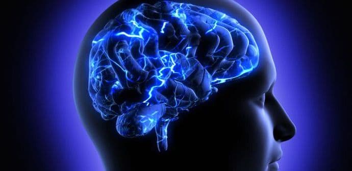 Pet koraka da sačuvate vaš mozak od demencije Pet koraka da sačuvate vaš mozak od demencije