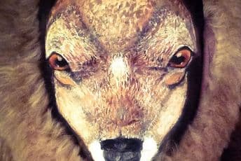 VIDEO:  Nevjerovatna moć preobražaja: Ovo nije životinja, već čovjek!