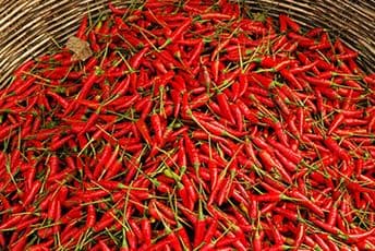 Muškarci koji vole čili su uglavnom "puni" testosterona i želje za dominacijom