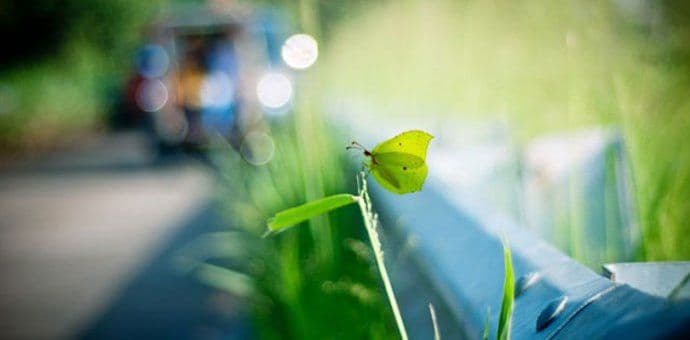 Danas uglavnom suvo, do devet stepeni Danas uglavnom suvo, do devet stepeni