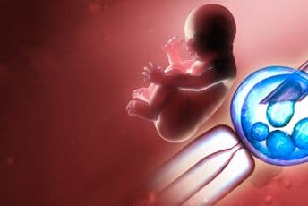 Za vantjelesnu oplodnju 2019. potrošeno više od milion eura Za vantjelesnu oplodnju 2019. potrošeno više od milion eura