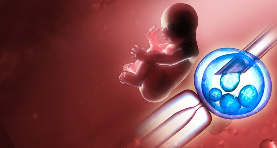 Postupkom vještačke oplodnje rođeno 120 beba Postupkom vještačke oplodnje rođeno 120 beba