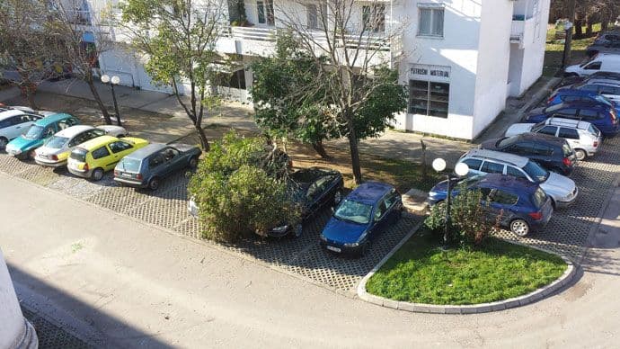 Bar: Bura obarala drveće Bar: Bura obarala drveće