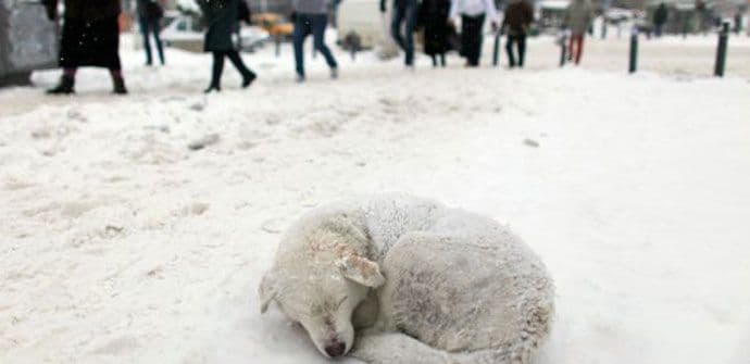 Vrijeme za vikend: Do -11 stepeni Vrijeme za vikend: Do -11 stepeni