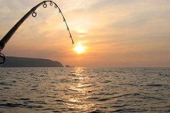 Ukida se ribolovni zabran na Skadarskom jezeru, po preporuci PMF-a: Dijalog dao rezultat Ukida se ribolovni zabran na Skadarskom jezeru, po preporuci PMF-a: Dijalog dao rezultat