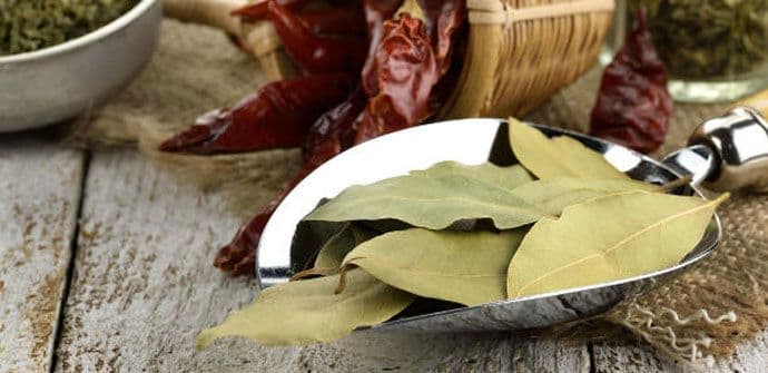 Lovor donosi bolje raspoloženje i štiti od gripa Lovor donosi bolje raspoloženje i štiti od gripa