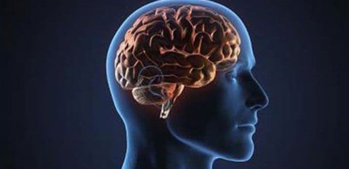 Visok IQ je štiti od šizofrenije? Visok IQ je štiti od šizofrenije?