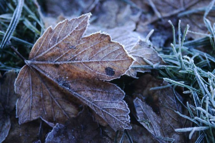 Naredna dva dana suvo, u nedjelju veče kiša Naredna dva dana suvo, u nedjelju veče kiša