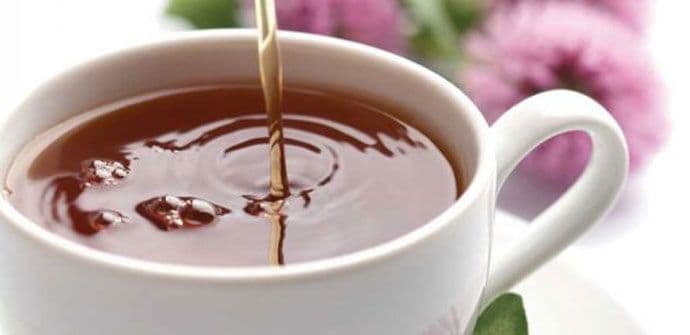 Čaj od hrastove kore za čišćenje organizma Čaj od hrastove kore za čišćenje organizma