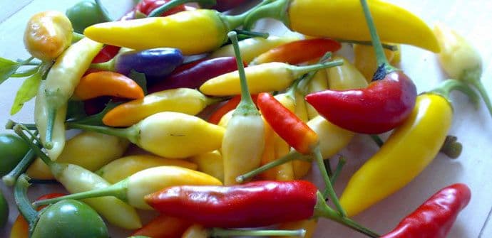 Moćni antivirus tonik za imunitet i liječenje infekcija Moćni antivirus tonik za imunitet i liječenje infekcija