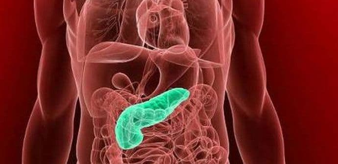 Revolucionarno otkriće francuskih naučnika u liječenju raka pankreasa Revolucionarno otkriće francuskih naučnika u liječenju raka pankreasa