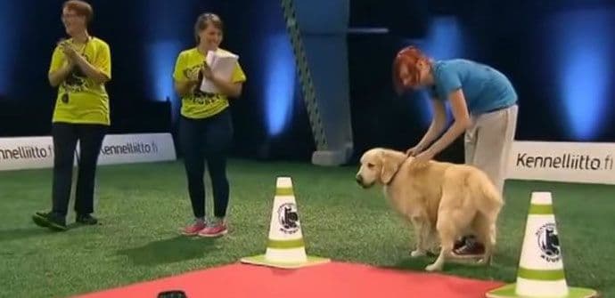 Pravila su pravila, uživanje je uživanje (VIDEO) Pravila su pravila, uživanje je uživanje (VIDEO)