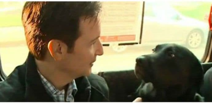 Kuja koja se sama vozi autobusom kako bi stigla do parka (VIDEO) Kuja koja se sama vozi autobusom kako bi stigla do parka (VIDEO)