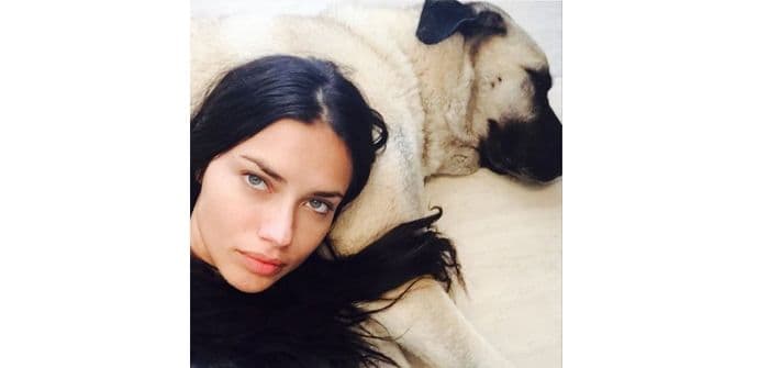 U krevetu sa Adrijanom Limom U krevetu sa Adrijanom Limom