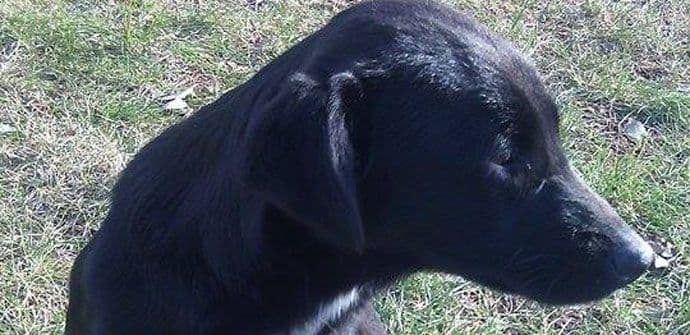 Žuća i Dora – uvijek ispred tehničkih fakulteta Žuća i Dora – uvijek ispred tehničkih fakulteta