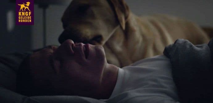 Zvanično najemotivnija reklama u prethodnoj godini (VIDEO) Zvanično najemotivnija reklama u prethodnoj godini (VIDEO)