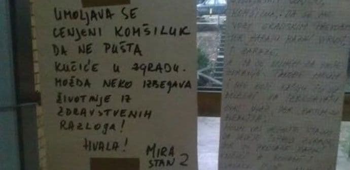 BEOGRAD: Urnebesna prepiska stanara zgrade zbog pasa lutalica BEOGRAD: Urnebesna prepiska stanara zgrade zbog pasa lutalica