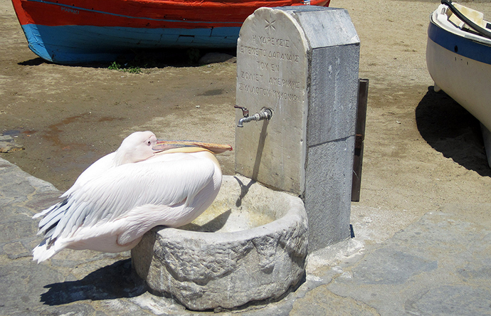 Grčki problem Grčki problem