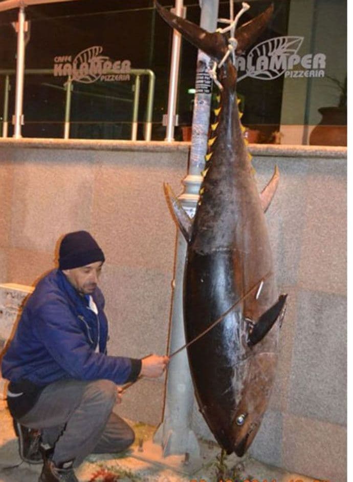 Tuna od 105 kg Baraninu Goranu Petroviću donijela nagradu za ulov godine  Tuna od 105 kg Baraninu Goranu Petroviću donijela nagradu za ulov godine