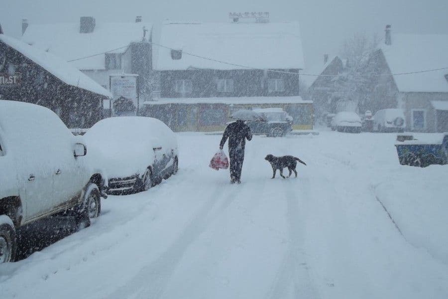 Na Žabljaku skoro metar snijega! Na Žabljaku skoro metar snijega!
