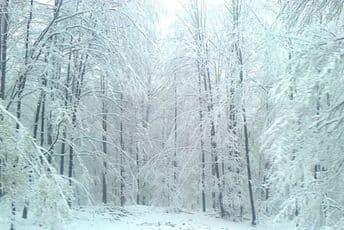 Zbog nevremena zatvorene škole u Rumuniji Zbog nevremena zatvorene škole u Rumuniji