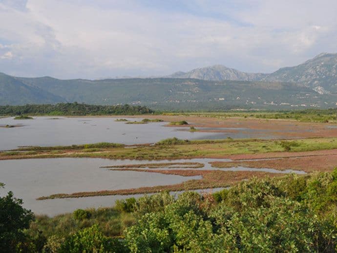 Solila, raj za ptice i turistička atrakcija Solila, raj za ptice i turistička atrakcija