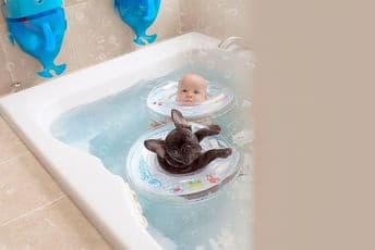 Beba i francuski buldog najbolji prijatelji - zajedno jedu, kupaju se i spavaju (FOTO;VIDEO)