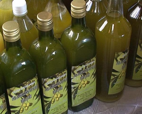 Veća podrška države maslinarima Veća podrška države maslinarima