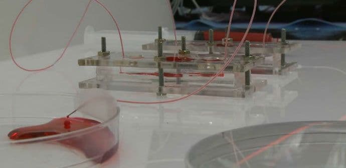 Naučnici napravili "digitalne organe" Naučnici napravili "digitalne organe"