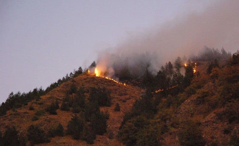 Požar u Buljarici, Reževićima i Brajićima Požar u Buljarici, Reževićima i Brajićima