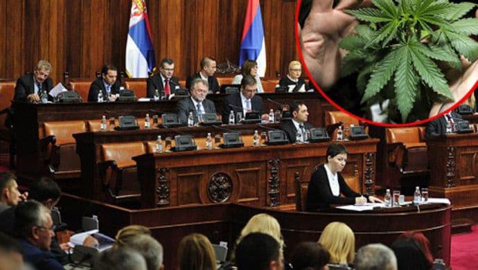 Skupština Srbije uskoro o legalizaciji marihuane u medicinske svrhe  Skupština Srbije uskoro o legalizaciji marihuane u medicinske svrhe
