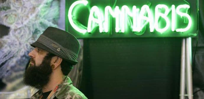 Zašto Holandija guši kanabis turizam? Zašto Holandija guši kanabis turizam?