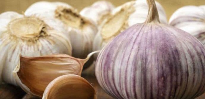 Bijeli luk u borbi protiv akni  Bijeli luk u borbi protiv akni