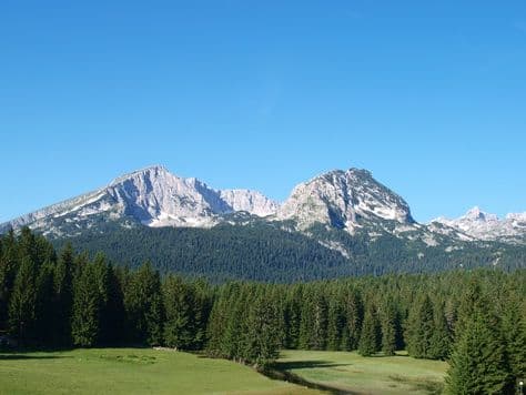 NPCG: Usvojena Odluka o pristupanju izradi planova upravljanja za 2016 - 2020. NPCG: Usvojena Odluka o pristupanju izradi planova upravljanja za 2016 - 2020.