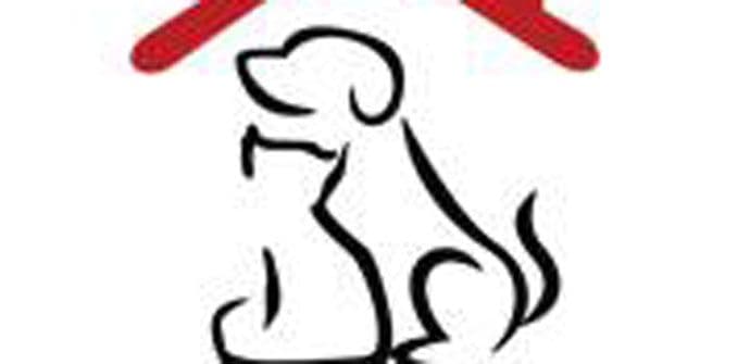 Arka Montenegro: Potreban materijal za izgradnju prihvatilišta za pse Arka Montenegro: Potreban materijal za izgradnju prihvatilišta za pse