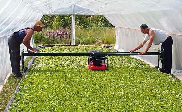 Bez ponuda za proizvodnju duvana Bez ponuda za proizvodnju duvana