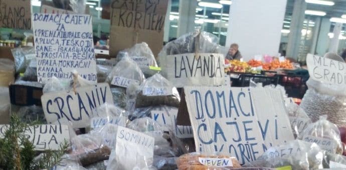 Recept protiv gripe sa Gintaša: Đumbir, crna kopriva, a može i fortunela od sedam eura Recept protiv gripe sa Gintaša: Đumbir, crna kopriva, a može i fortunela od sedam eura