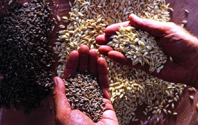 FAO: Hrana najjeftinija od ljeta 2010.  FAO: Hrana najjeftinija od ljeta 2010.