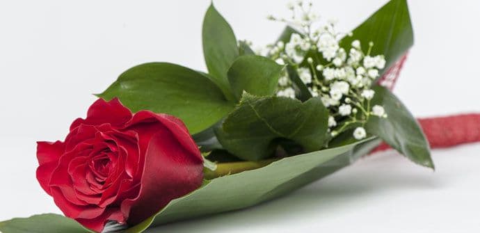 Pošta Crne Gore: Telegram i poklon moguće je poslati i u nedjelju Pošta Crne Gore: Telegram i poklon moguće je poslati i u nedjelju