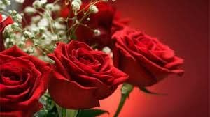 Knežević i Bečić čestitali Dan žena Knežević i Bečić čestitali Dan žena