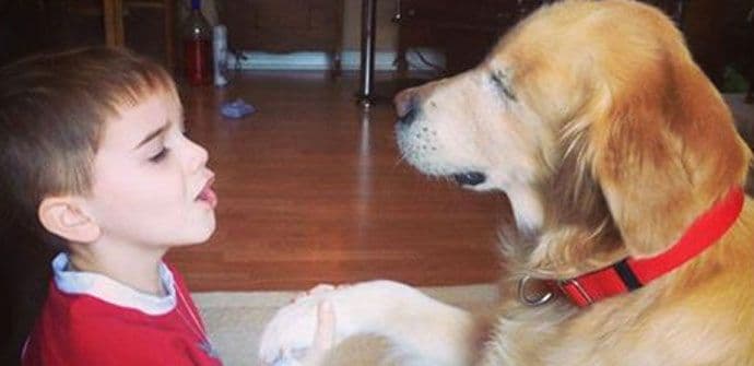 Upoznajte Smajlija, terapijskog psa bez očiju Upoznajte Smajlija, terapijskog psa bez očiju