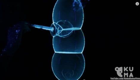 VIDEO: Iako traju samo nekoliko sekundi njegova djela izazivaju divljenje VIDEO: Iako traju samo nekoliko sekundi njegova djela izazivaju divljenje