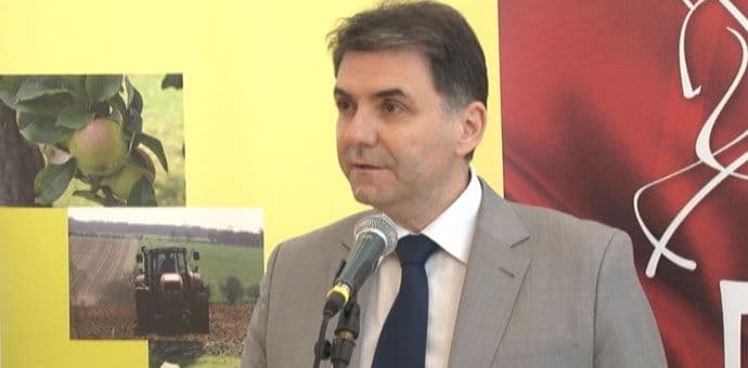 IVANOVIĆ: Ne možemo zaustaviti život zbog izbora IVANOVIĆ: Ne možemo zaustaviti život zbog izbora