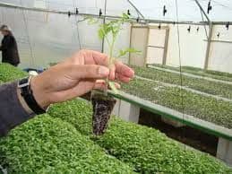 Poljoprivrednim  proizvođačima podrška do tri hiljade EUR po zahtjevu   Poljoprivrednim  proizvođačima podrška do tri hiljade EUR po zahtjevu