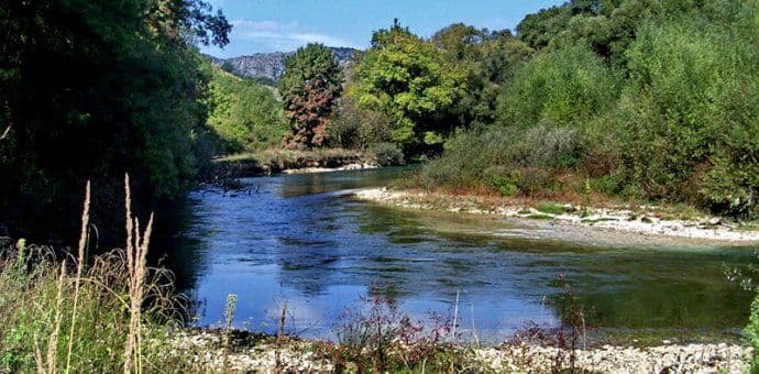 Smrt Nikoline Ljiljanić nastupila usljed utopljenja Smrt Nikoline Ljiljanić nastupila usljed utopljenja